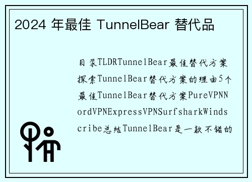 2024 年最佳 TunnelBear 替代品