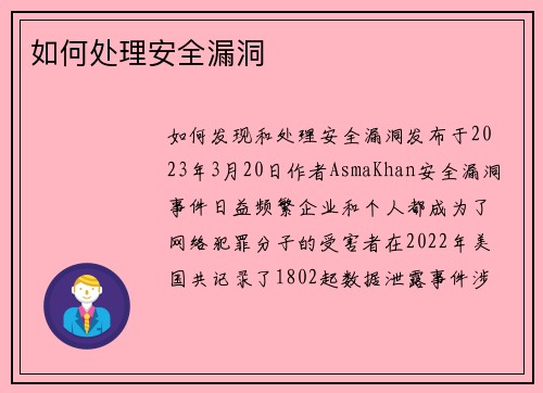 如何处理安全漏洞 